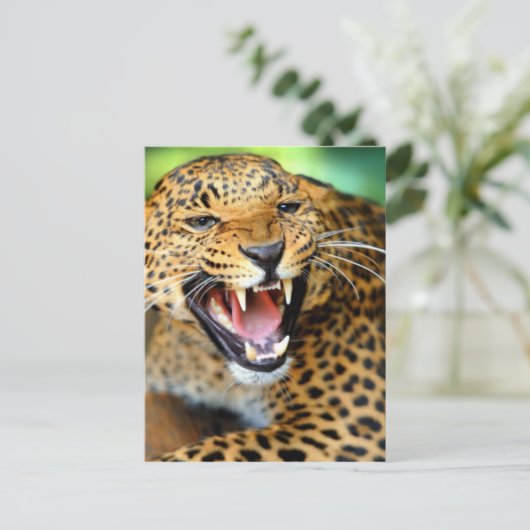 Wild Leopard Postkarte (Stehend Vorderseite)