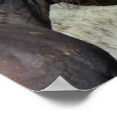 WILD LIEBE PORSES POSTER (Ecke)