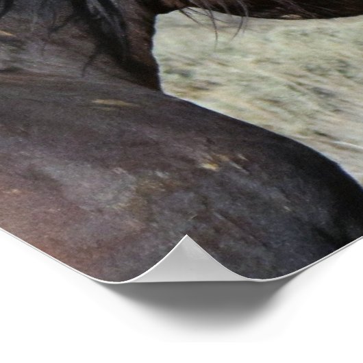 WILD LIEBE PORSES POSTER (Ecke)