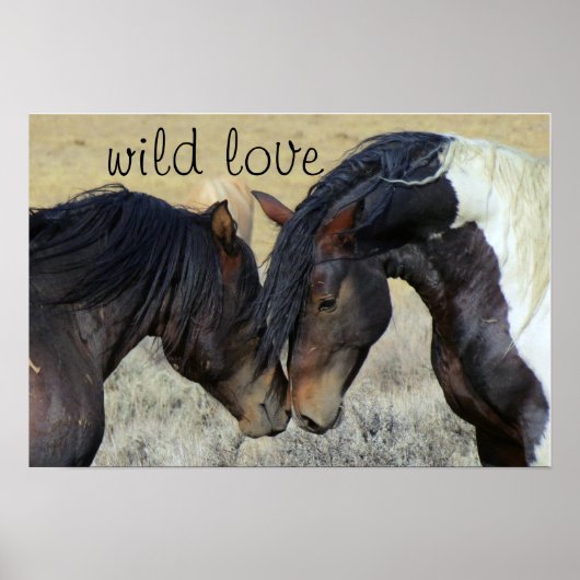 WILD LIEBE PORSES POSTER (Vorne)