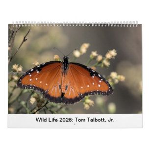 Wild Life 2026 Kalender