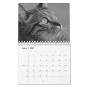 Wild Life Black and White Calendar 2022 Kalender (Mär 2027)