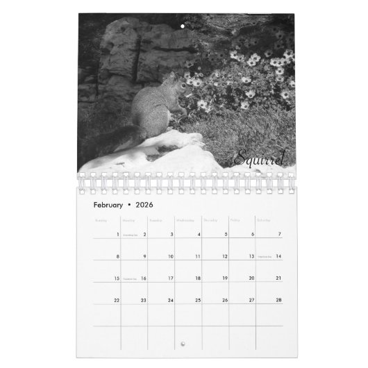 Wild Life Black and White Calendar 2022 Kalender (Feb 2026)