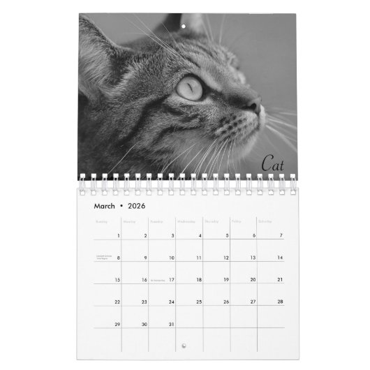 Wild Life Black and White Calendar 2022 Kalender (Mär 2026)