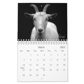Wild Life Black and White Printed Calendar 2022 Kalender (Mär 2027)