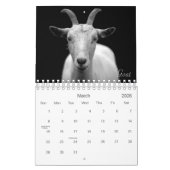 Wild Life Black and White Printed Calendar 2022 Kalender (Mär 2026)