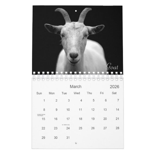 Wild Life Black and White Printed Calendar 2022 Kalender (Mär 2026)