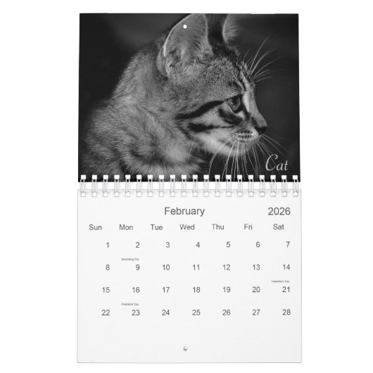 Wild Life Black and White Printed Calendar 2022 Kalender (Feb 2026)