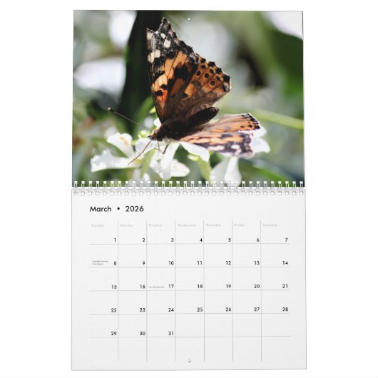 Wild Life Calendar Kalender (Mär 2026)