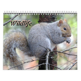 Wild Life Calendar Kalender