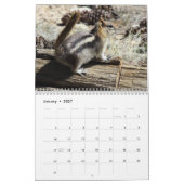 Wild Life Calendar Kalender (Jan 2027)