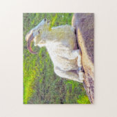 Wild Life Canada. Big Horn Sheep. Puzzle (Vertikal)