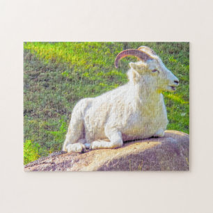 Wild Life Kanada. Dickhornschaf. Puzzle