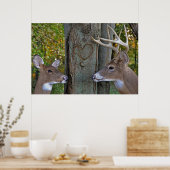 Wild-Life-Liebe Poster (Küche)