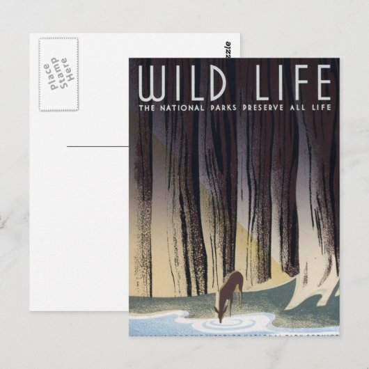 Wild Life Postkarte (Vorne/Hinten)