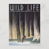 Wild Life Postkarte (Vorderseite)