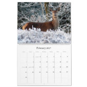 Wild Life Wall Calendar - HAMbWG Kalender (Feb 2027)