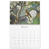 Wild Life Wall Calendar - HAMbWG Kalender (Mär 2027)