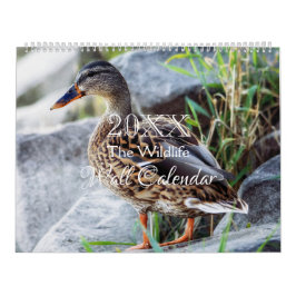 Wild Life Wall Calendar - HAMbWG Kalender