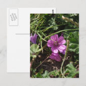 Wild Lila Cranesbill Postkarte (Vorne/Hinten)
