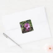 Wild Lila Cranesbill Quadratischer Aufkleber (Umschlag)