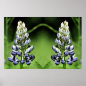 Wild Lila Lupine Blume Mirror Abstrakt Poster (Vorne)
