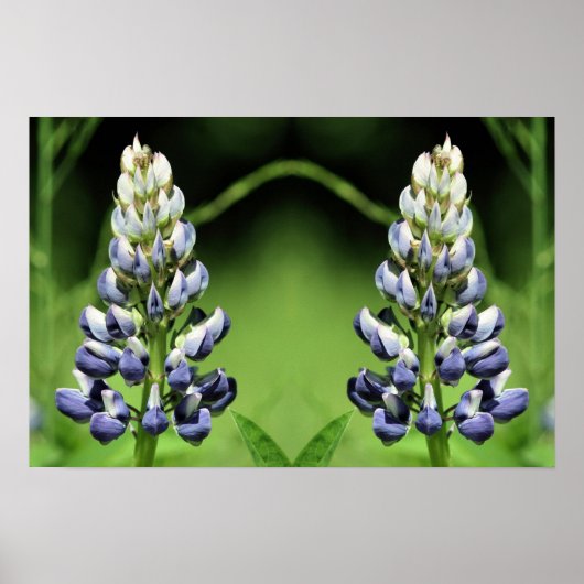 Wild Lila Lupine Blume Mirror Abstrakt Poster (Vorne)