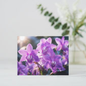 WILD LILA ORCHID AUS DOMINIKA POSTKARTE (Stehend Vorderseite)