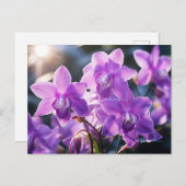 WILD LILA ORCHID AUS DOMINIKA POSTKARTE (Vorne/Hinten)