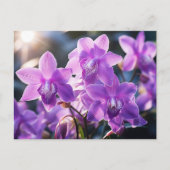 WILD LILA ORCHID AUS DOMINIKA POSTKARTE (Vorderseite)