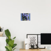 Wild Lilacs Poster (Heimbüro)