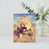 Wild Lion Postkarte (Stehend Vorderseite)