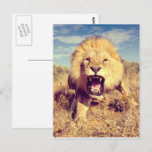 Wild Lion Postkarte (Vorne/Hinten)