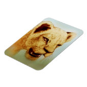 Wild Lion, Realistisches Foto der Tierkunst Magnet (Linke Seite)