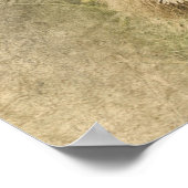 Wild Lion Safari Jungle Artwork Foto Poster (Ecke)