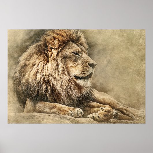 Wild Lion Safari Jungle Artwork Foto Poster (Vorne)