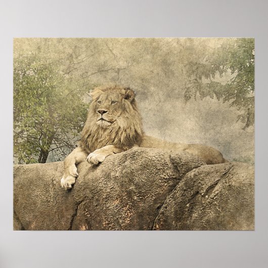 Wild Lion Safari Jungle Artwork Foto Poster (Vorne)