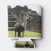 Wild Llama Near Ruins Dosenkühler (Rückseite)