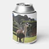 Wild Llama Near Ruins Dosenkühler (Kanne Rückseite)