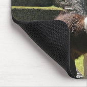 Wild Llama Near Ruins Mousepad (Ecke)