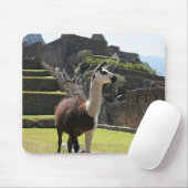 Wild Llama Near Ruins Mousepad (Mit Mouse)