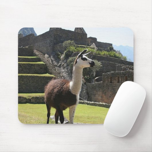 Wild Llama Near Ruins Mousepad (Mit Mouse)