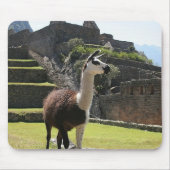 Wild Llama Near Ruins Mousepad (Vorne)