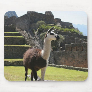 Wild Llama Near Ruins Mousepad