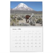 Wild Llamas und Alpacas Kalender (Jan 2026)