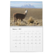 Wild Llamas und Alpacas Kalender (Feb 2027)