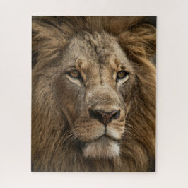 Wild Löwen's Gesicht Big Cat Wildlife Puzzle