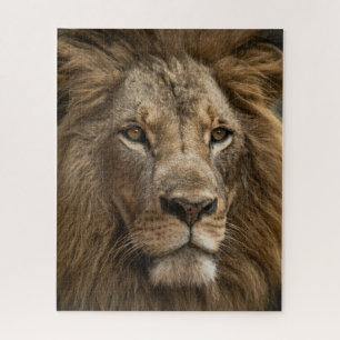 Wild Löwen's Gesicht Big Cat Wildlife Puzzle