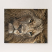 Wild Löwen's Gesicht Big Cat Wildlife Puzzle (Horizontal)