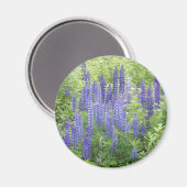 Wild Lupine Magnet (Vorderseite/Rückseite)
